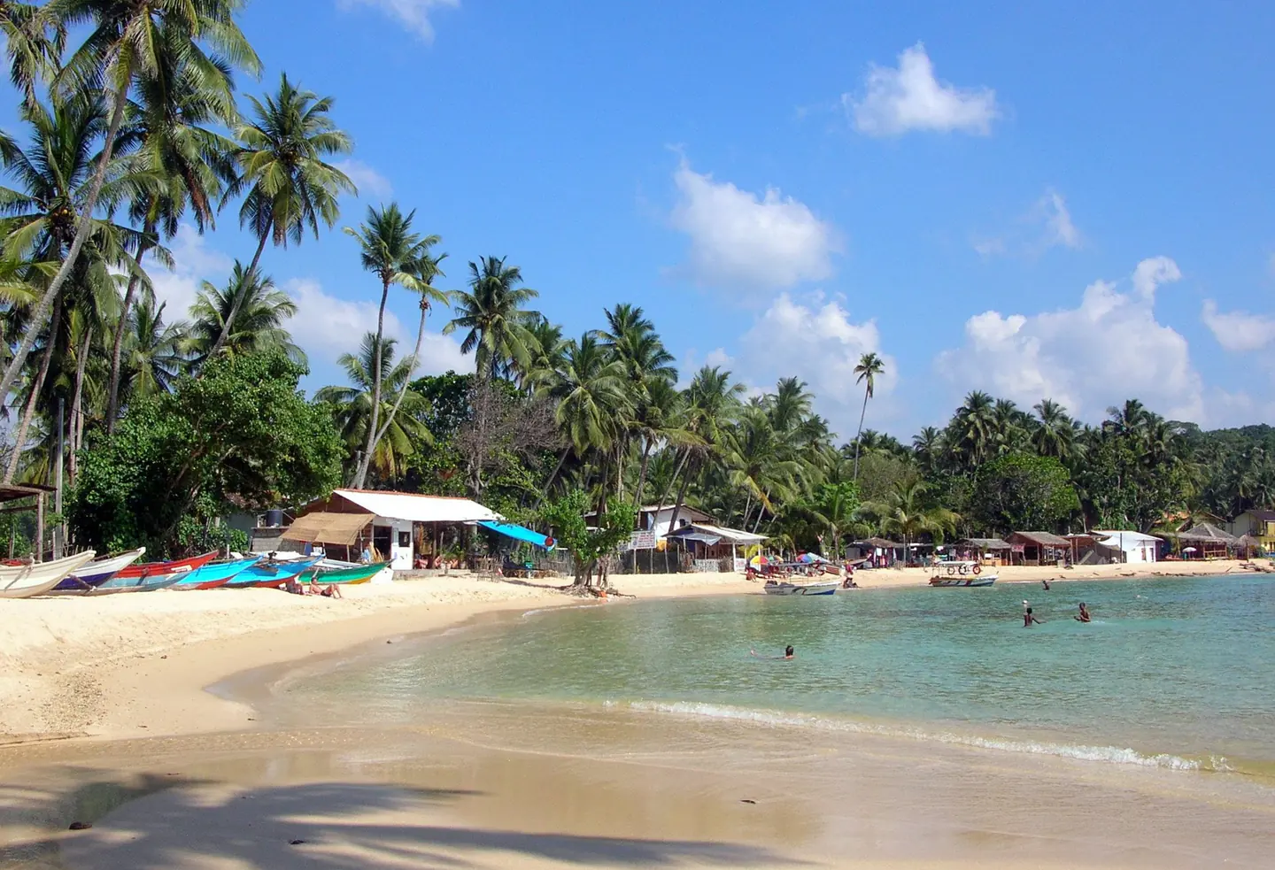 Palm trees, golden sand and clear water at Unawatuna beach in Sri Lanka